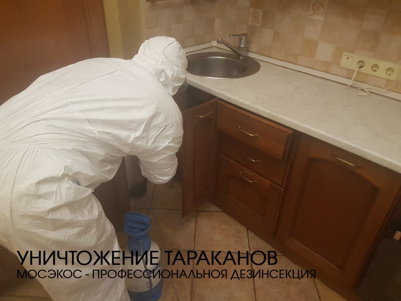 Служба по уничтожению тараканов в Санкт-Петербурге