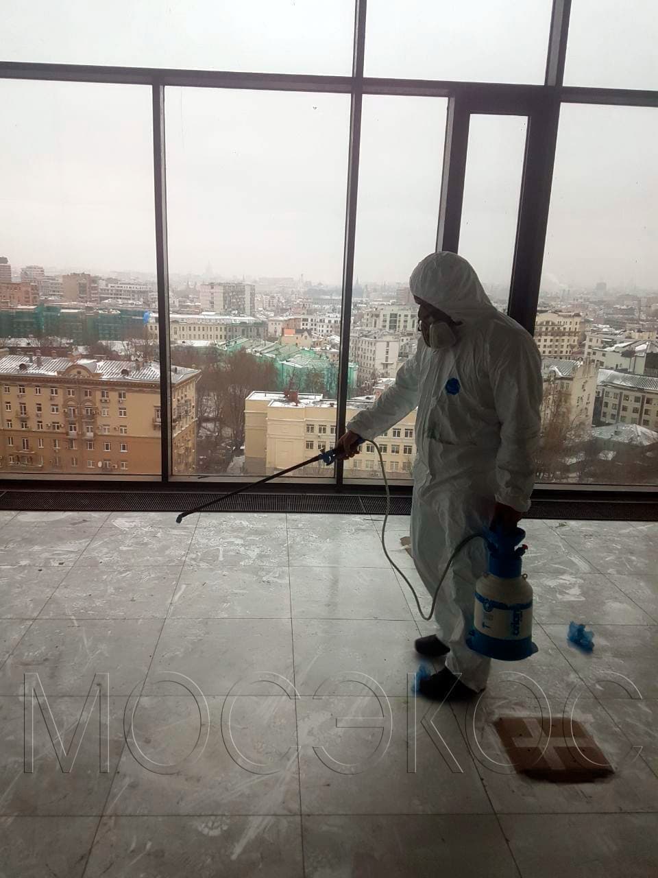 Пест-контроль (Pest Control) в Санкт-Петербурге