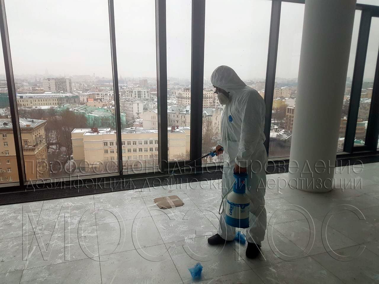Дезинсекция квартиры от клопов службой СЭС Санкт-Петербурга